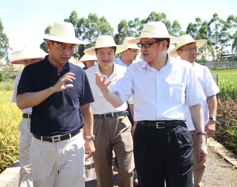 ����ʡ�Ƽ����������Ҷ����һ�п��첨������